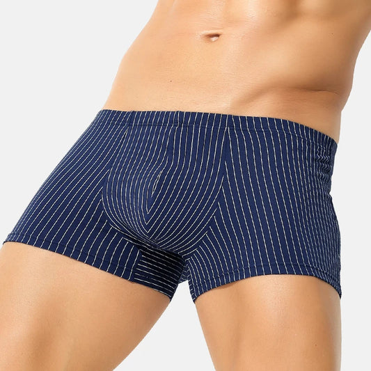 Navy blue pinstripe boxer briefs worn by a person on a light gray background
