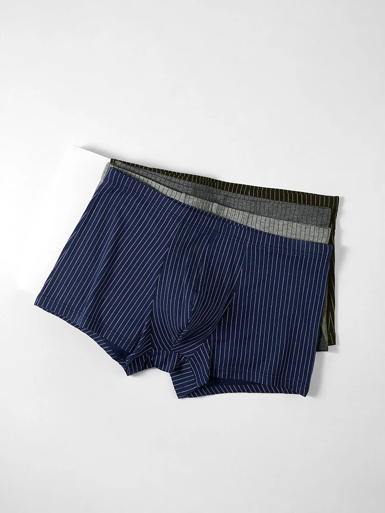 Pair of navy striped boxer briefs on a white background