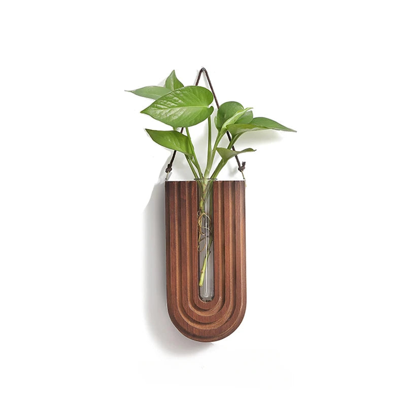 Wooden wall-mounted plant holder with a clear vase containing a green plant on a white background