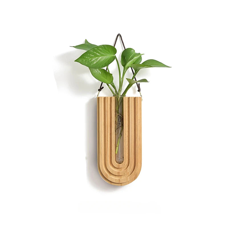 Wooden U-shaped wall planter with a plant on a white background