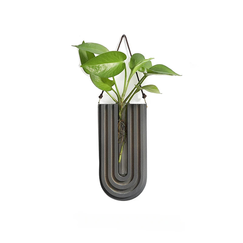 Wall-mounted plant holder with a green plant on a white background