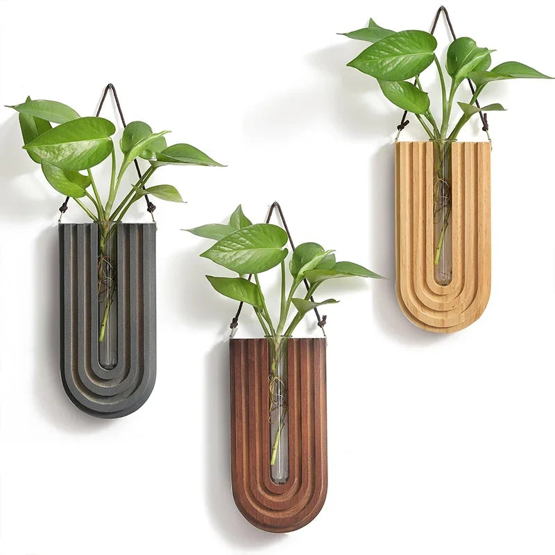 Three wall-mounted planters with plants on a white background
