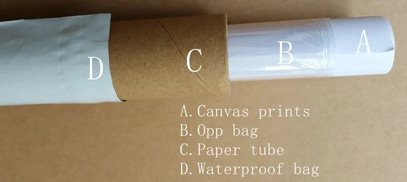 Roll of paper with labeled sections on a cardboard background
