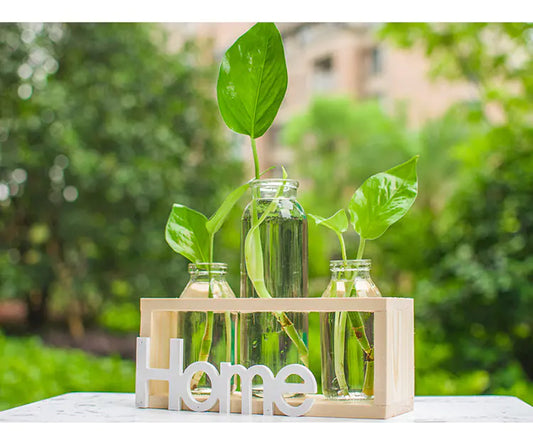 Glass bottles with plants and a wooden holder labeled 'Home' against a blurred green outdoor background