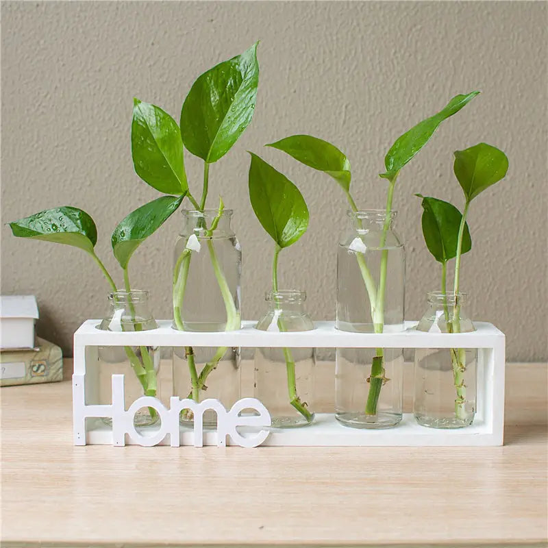 Set of small green plants in glass bottles on a white stand with 'Home' sign.