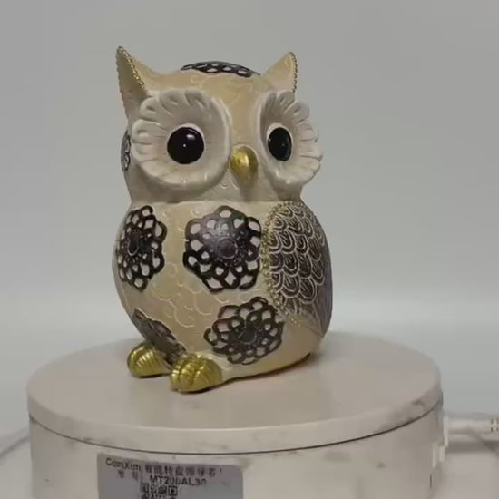 Decorative Owl Resin Ornament Video