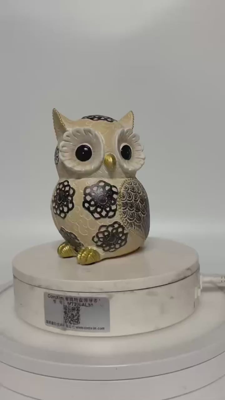 Decorative Owl Resin Ornament Video