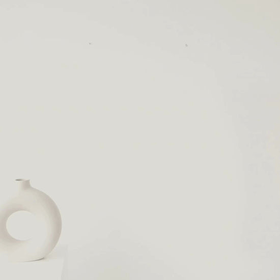 Video of Minimalist Bird Wall Art – Scientific Flight Geometry Print