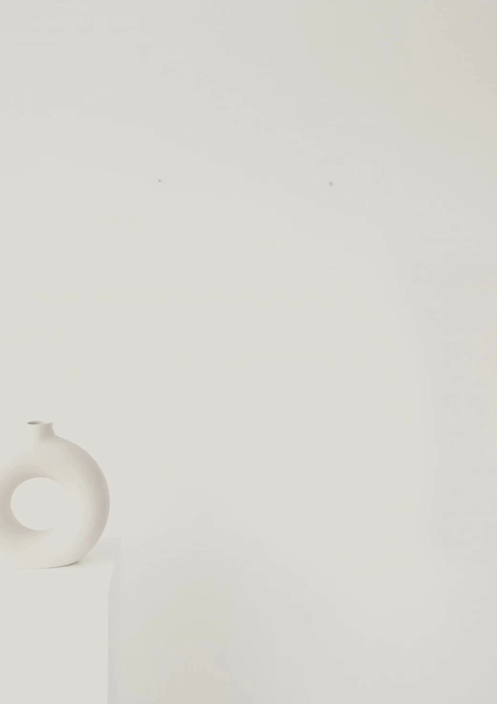 Video of Minimalist Bird Wall Art – Scientific Flight Geometry Print