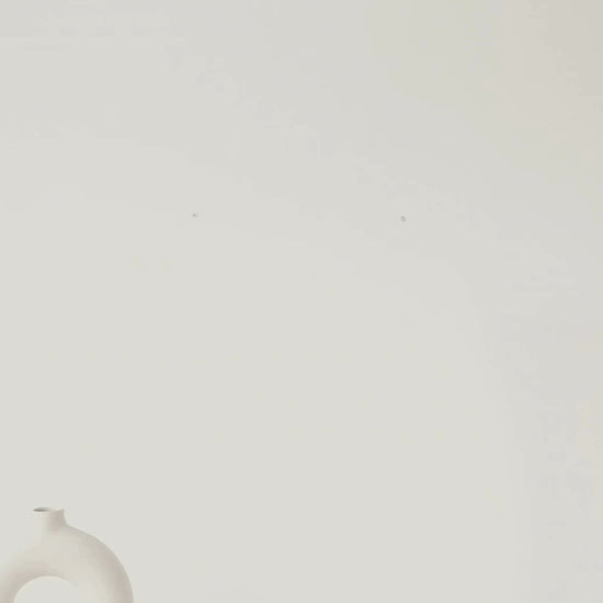 Video of Minimalist Bird Wall Art – Ivory Scientific Flight Print