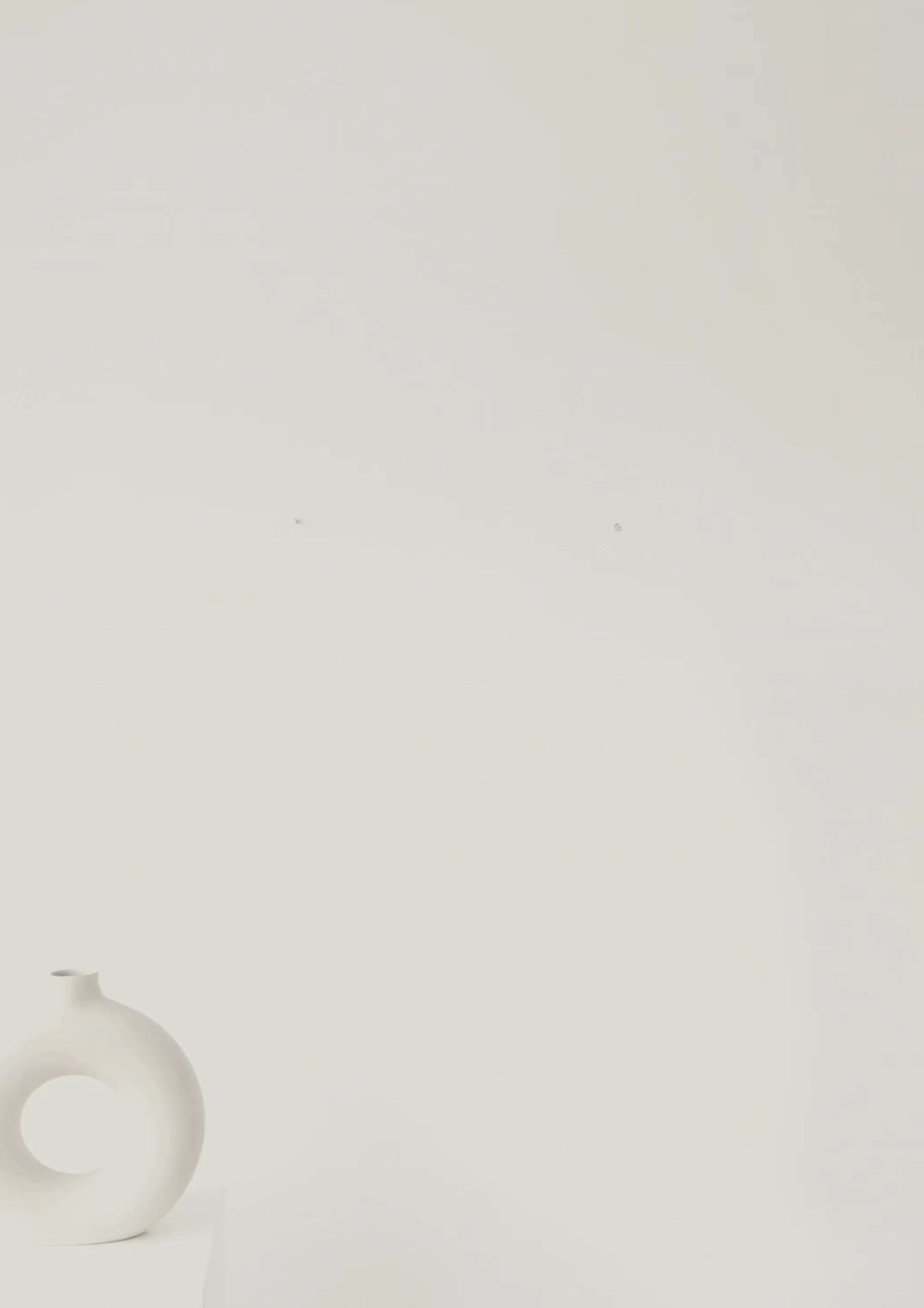 Video of Minimalist Bird Wall Art – Ivory Scientific Flight Print