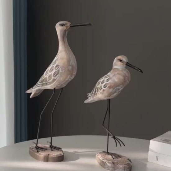 Video of figurine birds