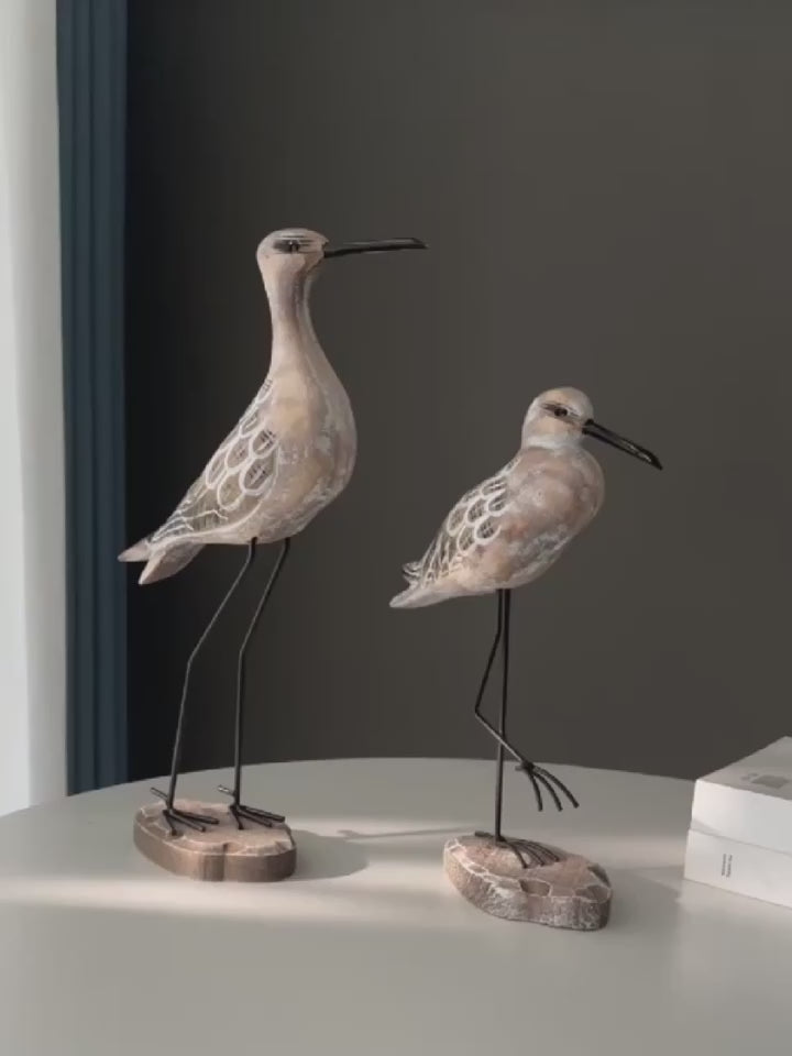 Video of figurine birds