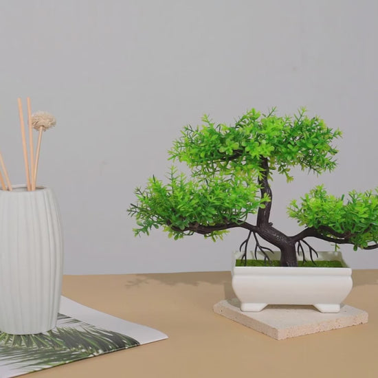Video of an artifical bonsai tree