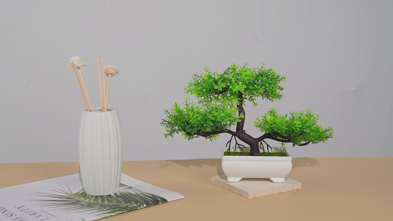 Video of an artifical bonsai tree