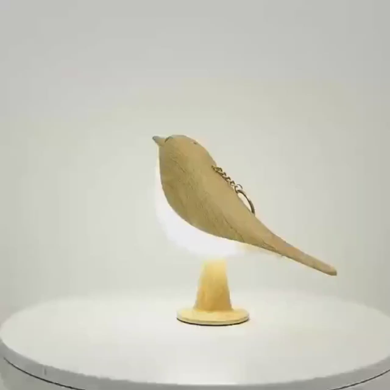 Bird Light video