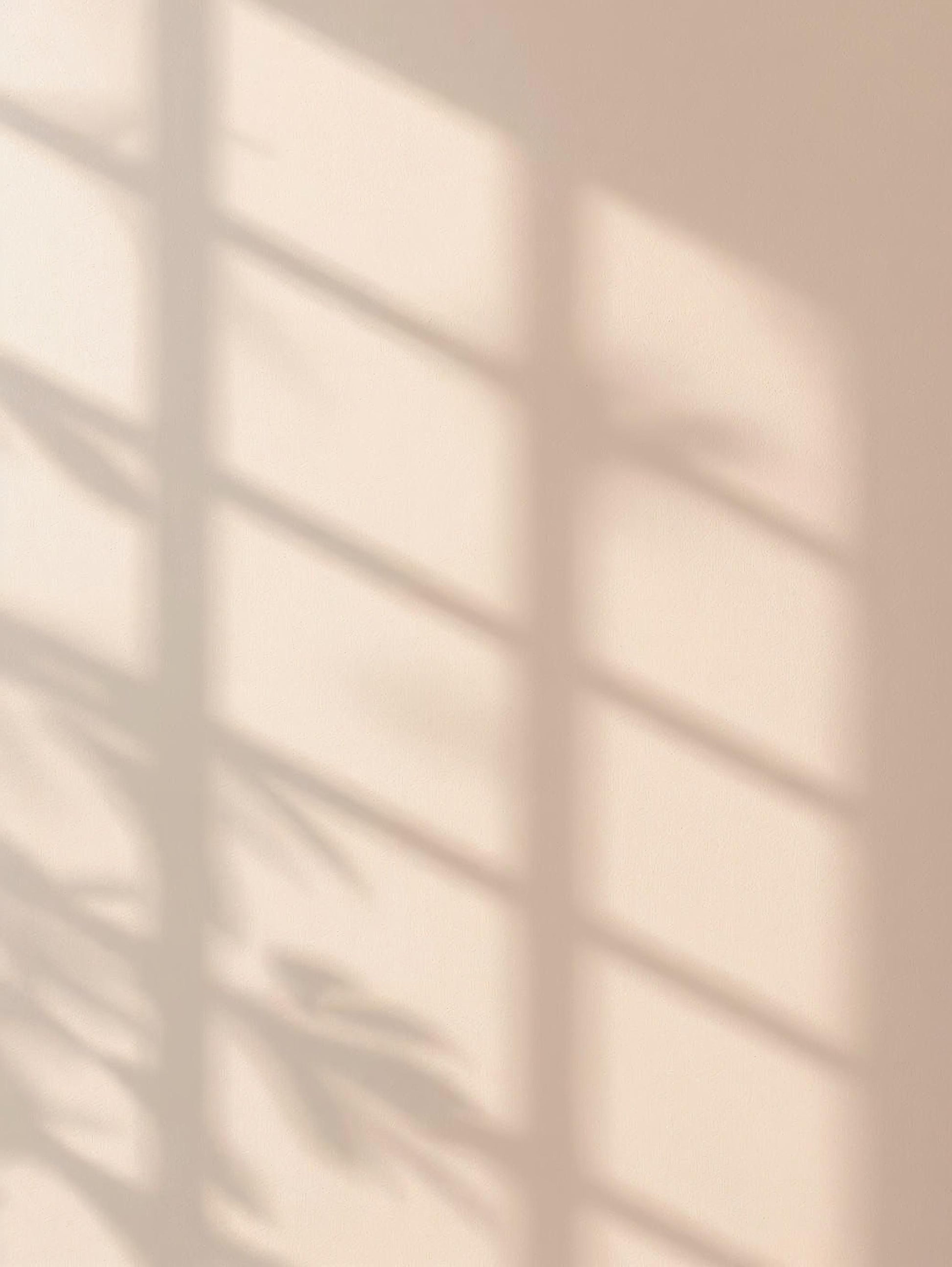 Soft neutral wall with natural window light and plant shadows creating a minimal background with plenty of empty copy space