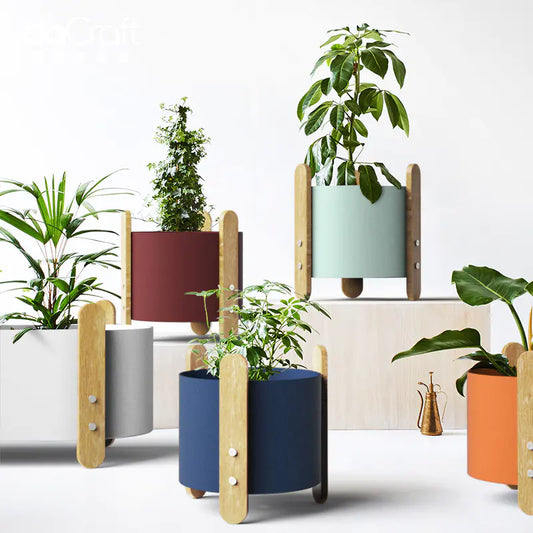 Modern indoor plant pots with wooden legs in multiple colours, displayed with houseplants