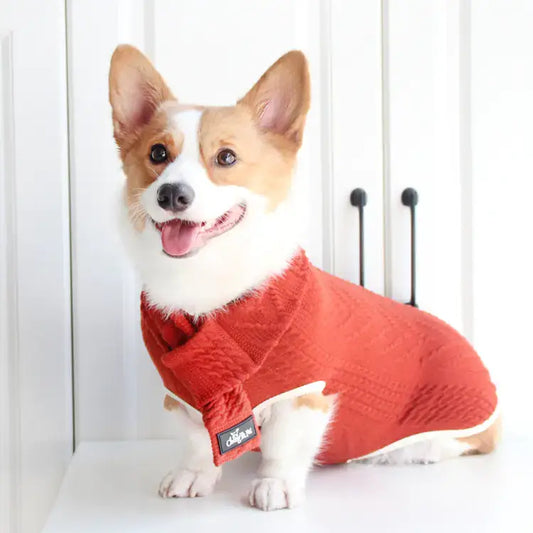 Happy corgi dog wearing a red vintage-style sweater with a textured pattern, sitting in front of white cabinets.